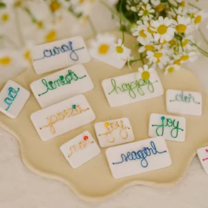 Broșă ceramică mare